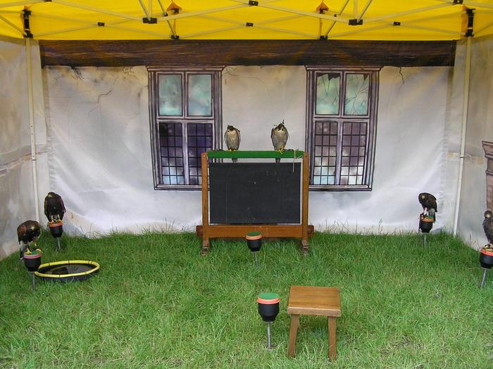 Overzichtsfoto valkerijstand Game Fair Overzichtsfoto valkerijstand Game Fair