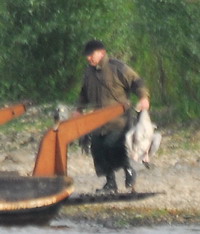 Ganzenjacht bij Maurik Ganzenjacht bij Maurik