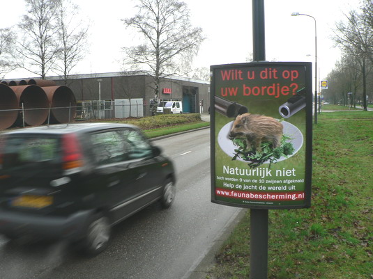 Zwijnenposter Zwijnenposter