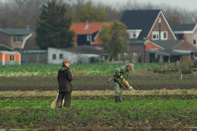 Nog niet dood? doen we wat aan