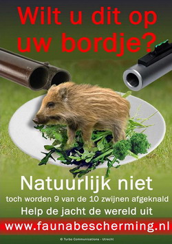 Zwijnenposter