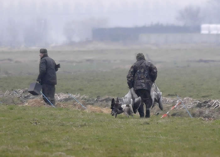 Ganzenjacht Ganzenjacht