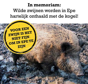 Folder Epe Folder Epe