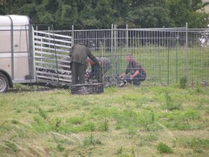 In Utrecht zijn in 2008 al grote groepen ganzen gevangen en vergast