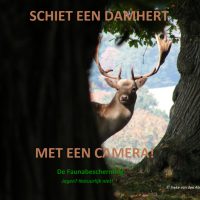 actie faunabescherming schiet een damhert met de camera
