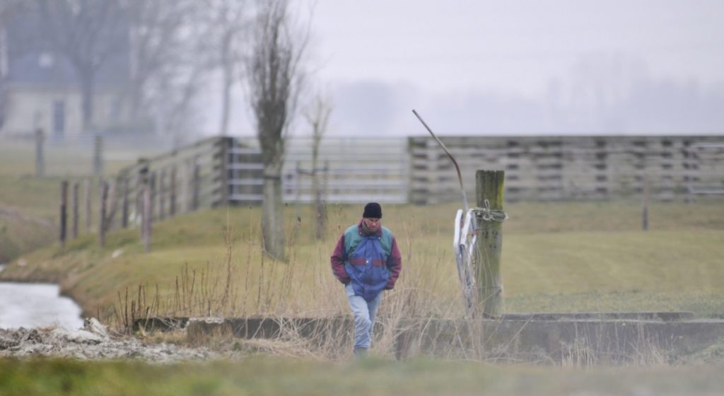 Er wordt toch nog naar kievitseieren gezocht