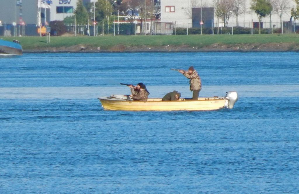 Plezierjacht op eenden in Zuid-Holland
