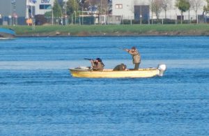 Schieten van eenden op de Dordste Kil