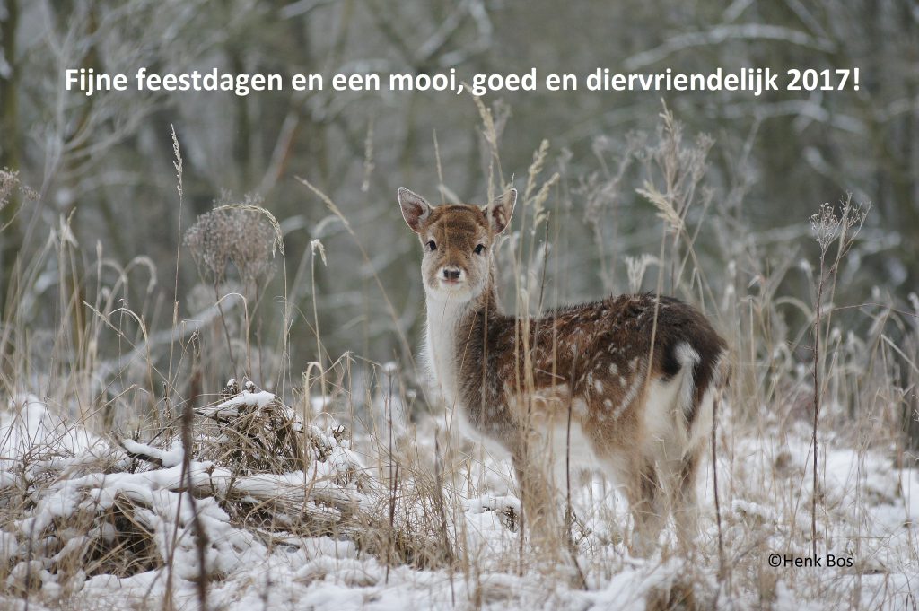 Kerst- en  nieuwjaarswens van De Faunabescherming