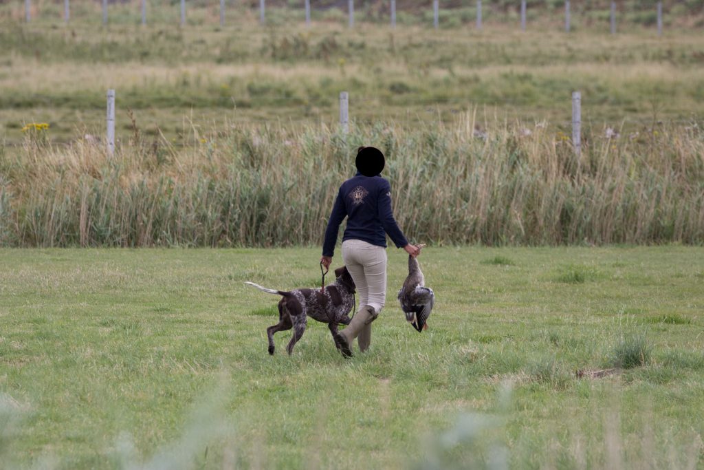 Brutale stropersactie in Zeeland